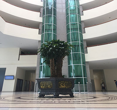 Thang máy lồng kính 07